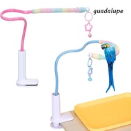 GUADALUPE Bird Perch Stand, Stable Bird Training Perch