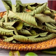 Dried Guava Leaves 1kg, Pure Young Guava Leaves, Helps Lose Weight, Prevent Diabetes
