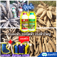 🆓ส่งฟรีไม่ใช้โค้ด ปุ๋ยน้ำ ระเบิดหัวมันสำปะหลัง ปุ๋ยมันสำปะหลัง เร่งหัว แป้งเยอะ ปุ๋ยน้ำ บูม99