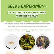 Pitcher Plant Seeds Experiment