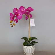 Gubahan bunga orkid Super Premium Latex