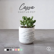 Concreate LIVING Cactus Pot 8cm Cassa Home Decor 8cm Aesthetic Pot/Hydroponic Pot/Table Decoration