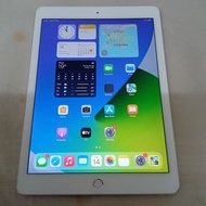 iPad Air 2