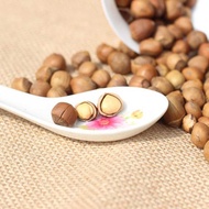 Hazelnut 榛果榛子 Fresh nuts