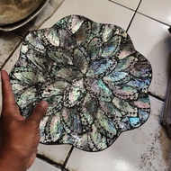 Abalone shell plate flower shape shell plate craft 30cm