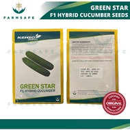 GREEN STAR F1 HYBRID CUCUMBER SEEDS [10g] | Biji benih timun | High Yield | ~500 seeds