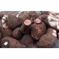 3kg combo of fresh grated mistletoe roots