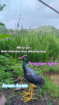 Patung burung ayam-ayaman / jontrot ayam ayam