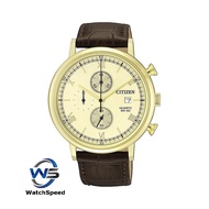 Citizen AN3612-09P Analog Quartz Chronograph Gold Dial Leather Men's Watch