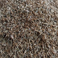 Whole cumin krawey cumin krawey whole cumin cumin seeds