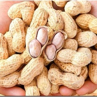 Wholesale 1 kg of roasted peanuts seasoned with whole shell and fragrant the hottest snack today