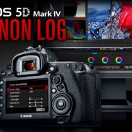 Canon 5D Mark IV 升級 C-Log