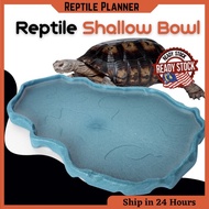 Tortoise Water Bowl Food Feeding Dish Reptile Lizard Snake Bowl Basin Feeder（陆龟/蜥蜴/食盆/水盆） Kura Penyu Lembangan Reptilia