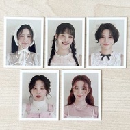 i-dle 2025 Season’s Greetings ID Photo 證件相 ［非小卡］ (G)I-DLE idle gidle