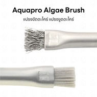 Aquapro Algae Brush Scraper