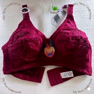 BRA Sister GUINI 500 Cup B (Large) Semi-Transparent Brocade No Foam No Wire 3 Hooks Size 36-44