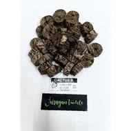 PORTUGAL CORK CACTUS-3 (MADE IN PORTUGAL)