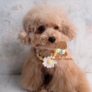 Popoori Daisy Necklace/ Animal Necklace Animal Accessories