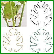 super Monstera Vertical Growth Plant Stakes Garden Support for Monstera Flowers Potted and Monstera 