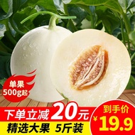 【2022年头茬甜瓜】陕西阎良新鲜甜瓜小籽瓜蜜瓜白皮瓜香瓜脆蜜瓜小香瓜妙宜果味现摘现发时令新鲜水果 5斤超值装【优质大甜瓜】(单瓜450g-700g)