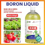 流体硼 Boron Liquid Trace Element Water-Souble Fertilizer 硼肥