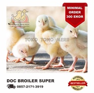 DOC Anak Ayam Broiler Super Japfa MB 202