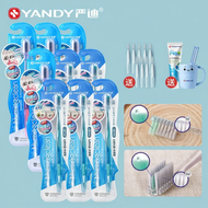 Yandy | แปรงสีฟันสำหรับผู้ใหญ่และเด็ก ขนนุ่ม หัวเล็ก