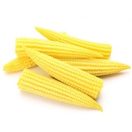 【Lowest Price Fresh Product】Baby Corn @ Deliver JB area only 