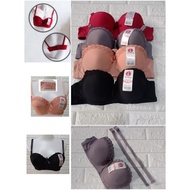 WIRE BH TYZ 8813/F 8813(186) Cup B (Medium/Standard)SiZe 36-42 BRA Teen Adult REMOVABLE STRAP Thick 