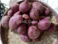 UBI JALAR UNGU/1KG