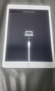 ipad 7  128G（id已退，有問題）