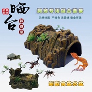 Climbing Pet Hide House Reptile Box Large Small Size Gecko Hide House Lizard Snake Nest Frog Turtle 