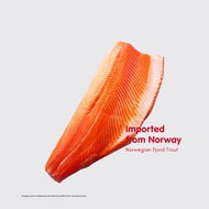 Whole slab fresh | fjord trout | direct airflow from Norway|Salmonidae