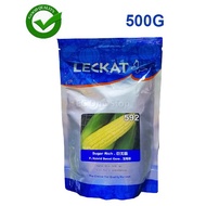 SEEDS / BENIH Jagung 500G LECKAT 592 Sugar Rich F1 Hybrid Sweet Corn