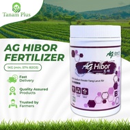 1KG Ag Hibor (高硼) Baja Larut Air Fertigasi Fertilizer Fertigation Foliar Water Soluble Boron Sodium 