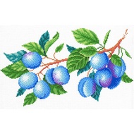 Package/pattern In MP Studyia Fabric - CK-101