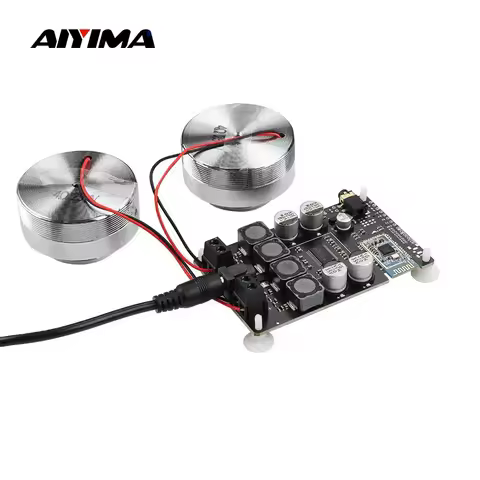 AIYIMA TPA3118 Amplifier + Vibration Full Range Speaker 2 Inch Audio Portable 4/8 Ohm 20/25W Resonan