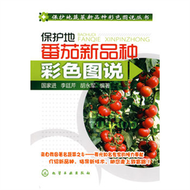 保護地蔬菜新品種彩色圖說叢書--保護地番茄新品種彩色圖說 (新品)