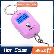 Digital Luggage Scale with Hook, 25kg Capacity, 5g Accuracy, Portable and Backlit