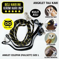 Kicau Mart Anklet Angklet Celepuk Size Jumbo Large Tali Kaki Burung Tyto Alba Parrot Barn Owl Orient