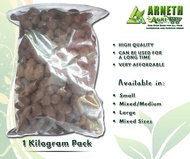 ARNETH HIGH QUALITY HYDROTON CLAY PEBBLES FOR PLANTS / ORCHIDS, LARGE SIZE 1KG (CHINA)