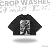 HIKARU Croptee ANIME Washed ROR "RECORD OF RAGNAR" | Crop top | Anime T-shirt | Anime crop top | Cro