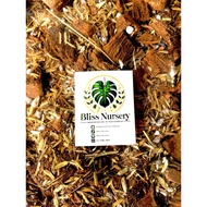 Aroid Mix (campuran aroid )–5L