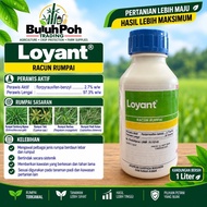 Loyant /DOW Agroscience Racun Rumput Padi 500ml