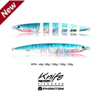 60g / 80g / 100g / 120g / 150g - Handmade Jigging Lure Kurodai Phantom Glow Knife Pilchard for Tengg