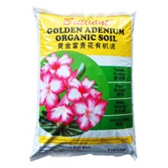 Brilliant Golden Adenium / Desert Rose 富贵花 Organic Soil (10 Ltr)