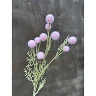 Dandelion Flower Branch