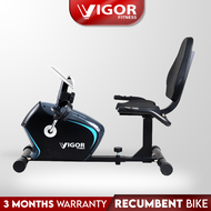 Recumbent Magnetic Exercise Physical Therapy Bike VF8304R