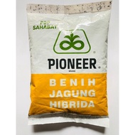 Benih Jagung Hibrida Pioneer 1Kg