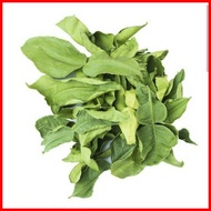 ☌ ☜ Dried Kaffir Lime Leaves